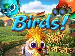 Birds game cover